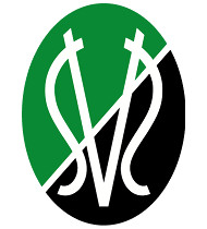 SV Ried