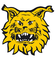 FC Ilves